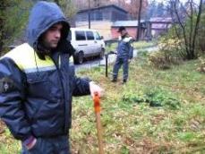 Разминирование местности под муниципальные нужды г.Всеволожск